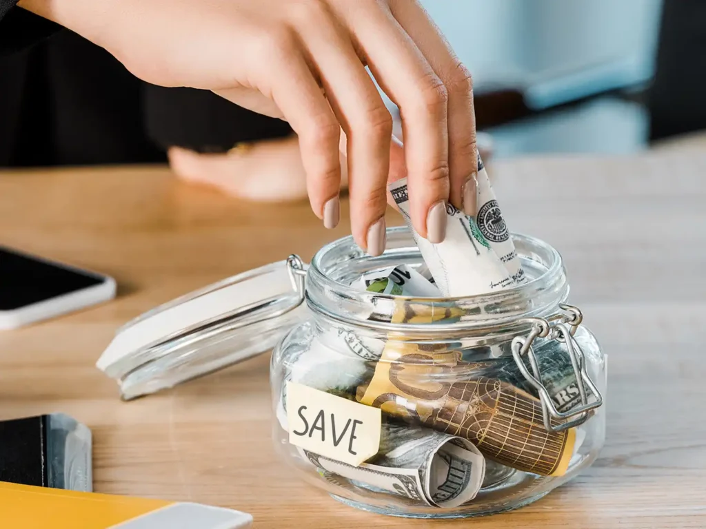 budget with inconsistent income and saving