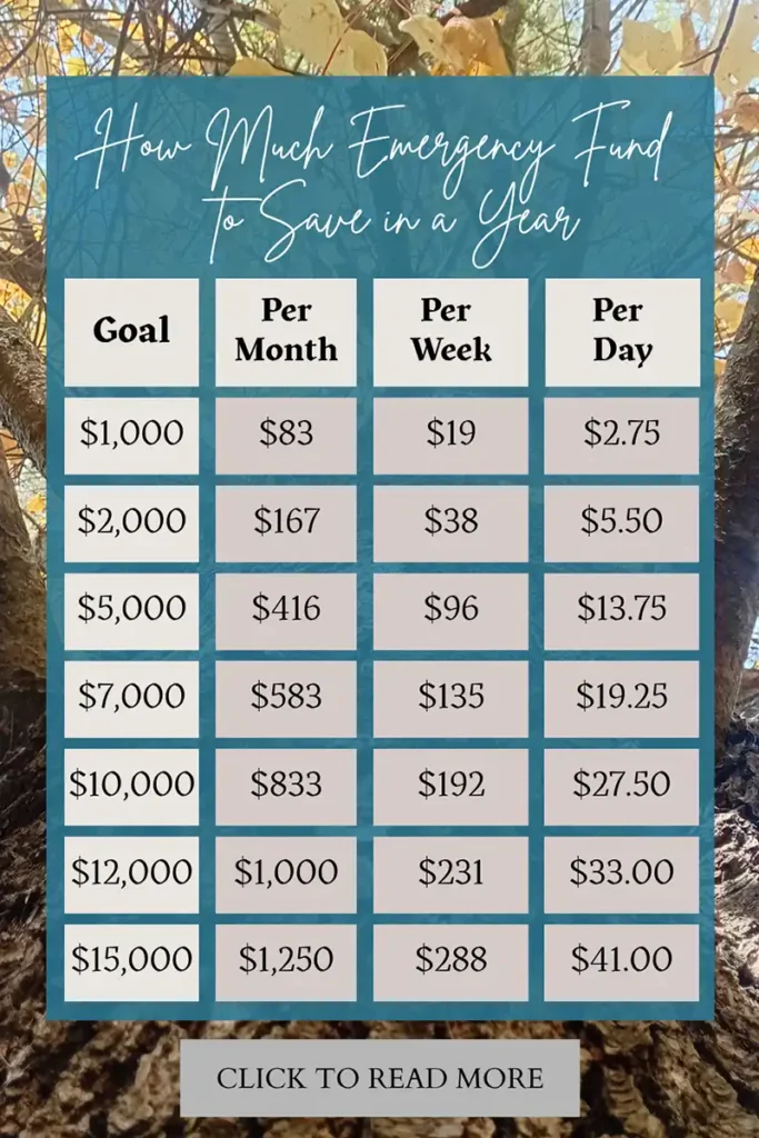 Fondo de reserva Fondo de emergencia