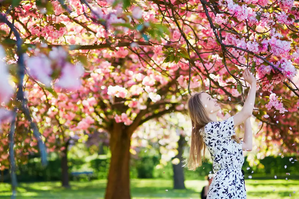 spring bucket list activities