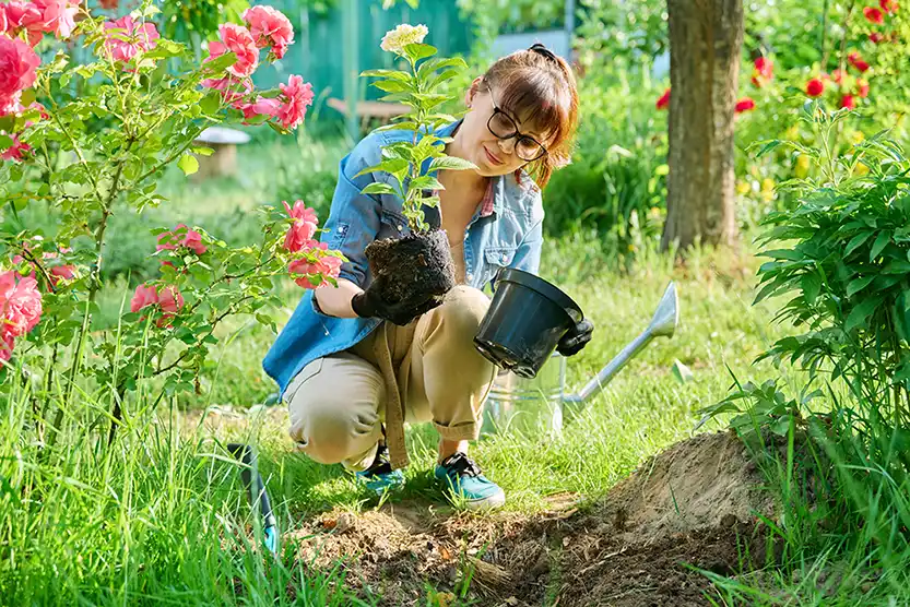 bucket list ideas gardening