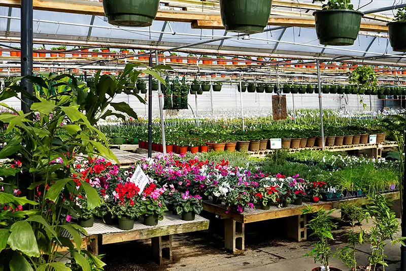 spring bucket list ideas garden centre
