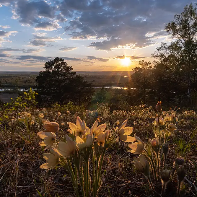 spring bucket list outdoor ideas